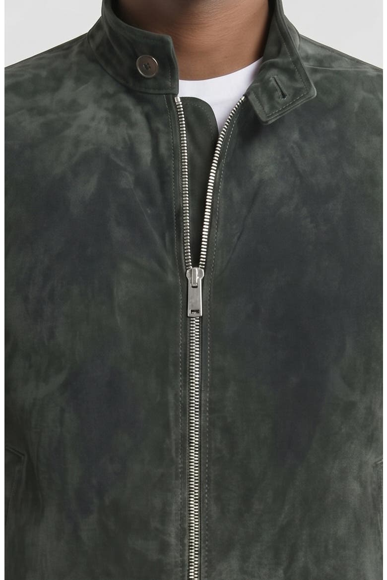 Genuine Suede Harrington Jacket, Alternate, color, BOTTLE GREEN