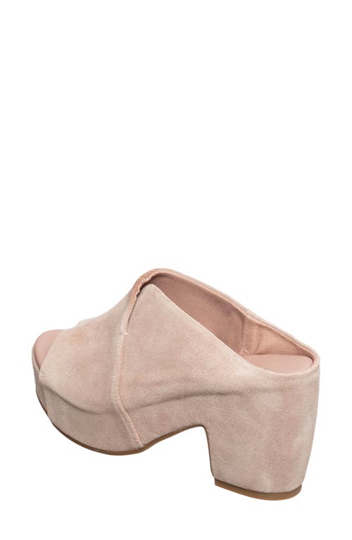 Antelope Taja Slide Sandal In Blush