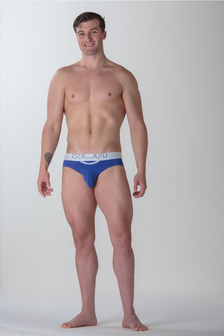 WOH Sexy Fun Mini Briefs, Alternate, color, Blue