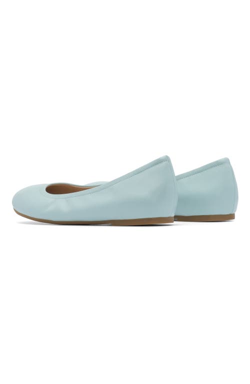 Abeo Promenade Ballet Flat In Mint - Regular