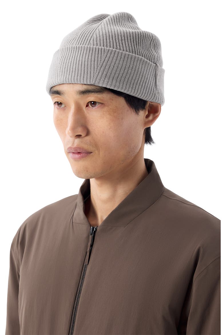 Conic Wool Toque, Alternate, color, SILKSTONE