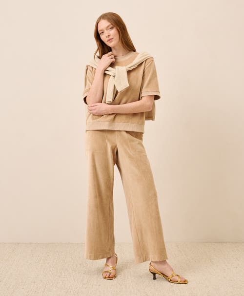 Pact Organic Cotton Pure Velour Wide Leg Pant In Brown
