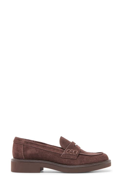 Dolce Vita Tiggy Loafers Mahogany Suede In Brown