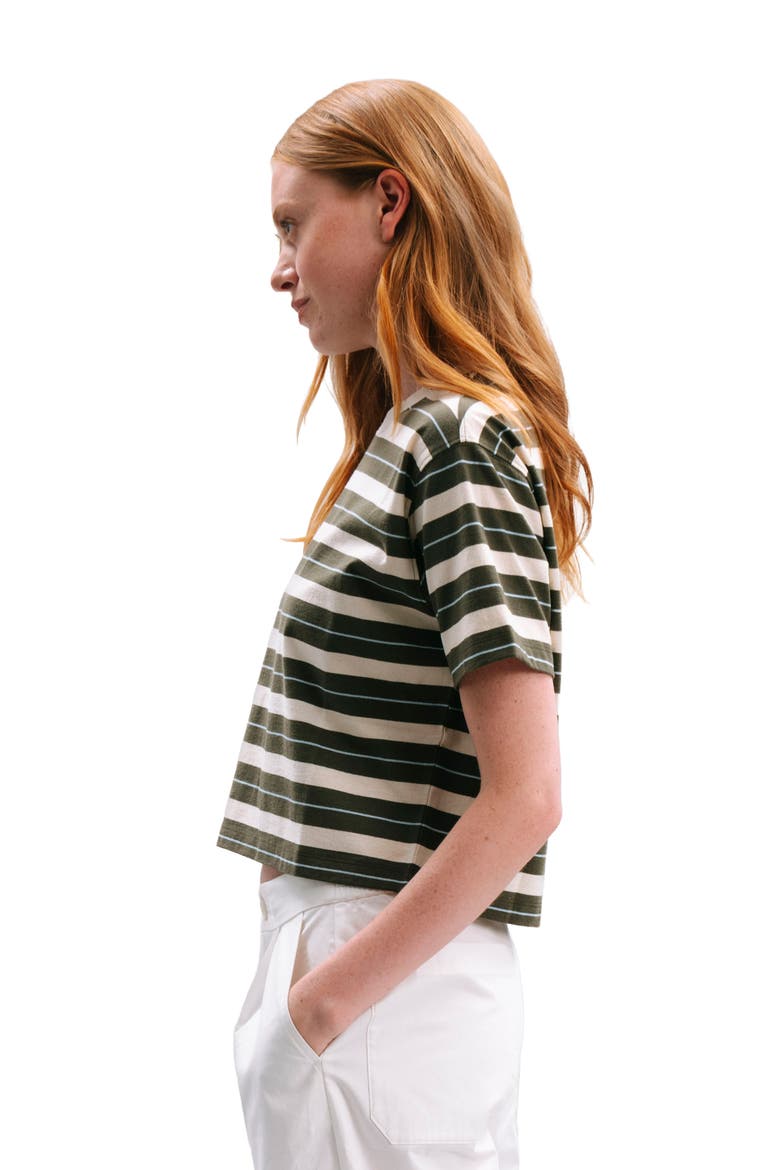The Recycled Stripe Crop Tee, Alternate, color, Surplus Green Stripe