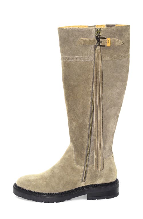 Gentle Souls Wheron Knee High Boot In Animal Print