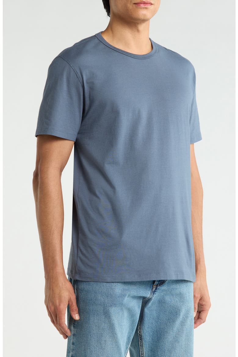 Bryce Crewneck T-Shirt, Alternate, color, BLUE