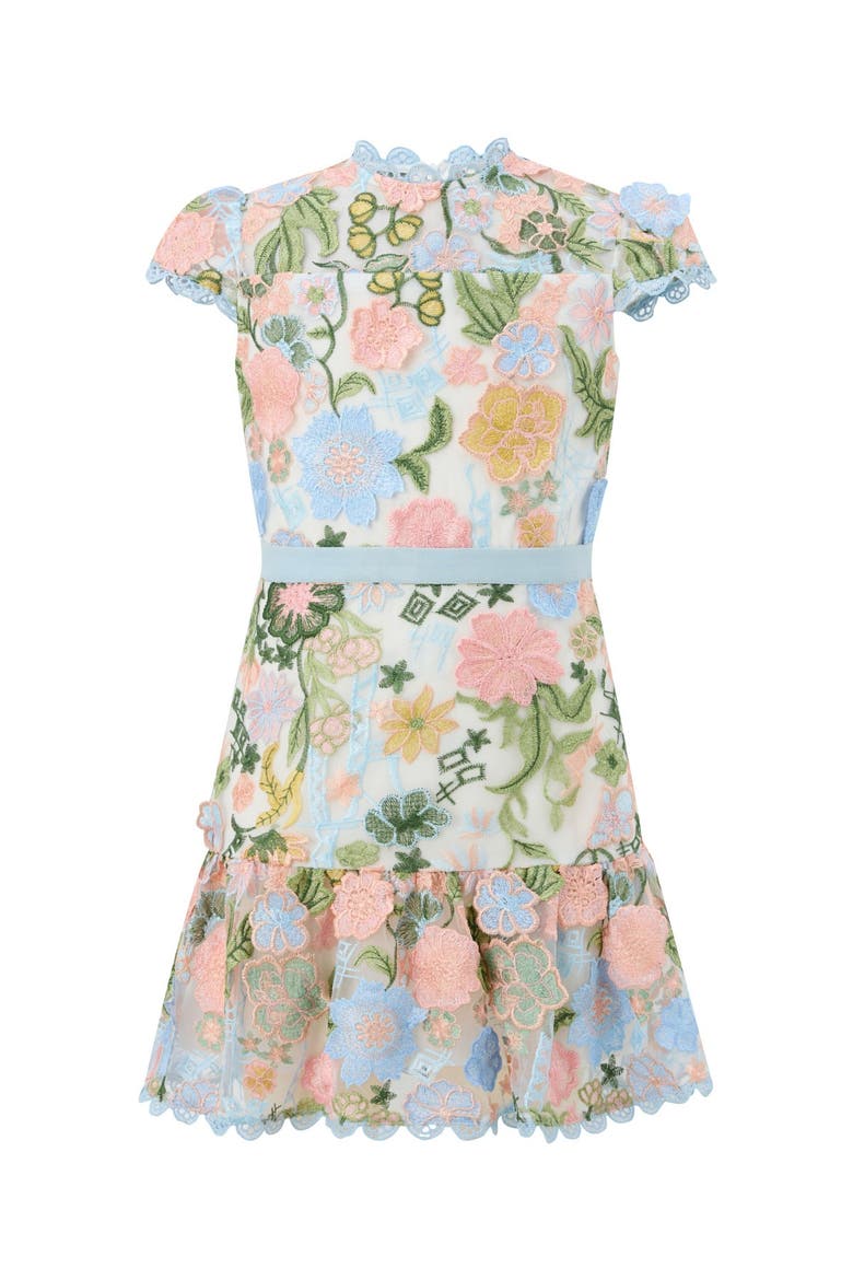 Rosalie Embroidered Mini Dress, Main, color, Multi