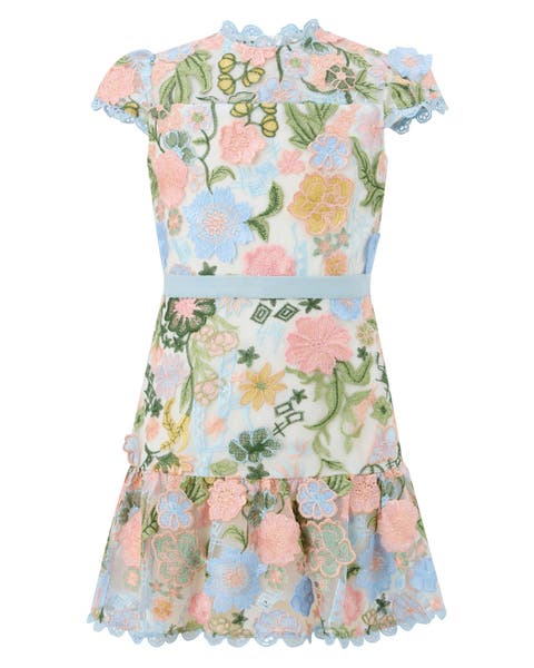 Rosalie Embroidered Mini Dress