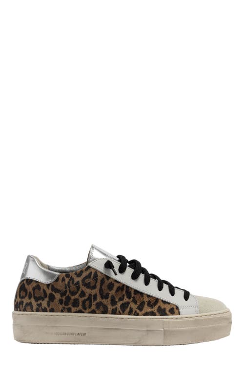 P448 Thea Sneaker in Leopard/silver 