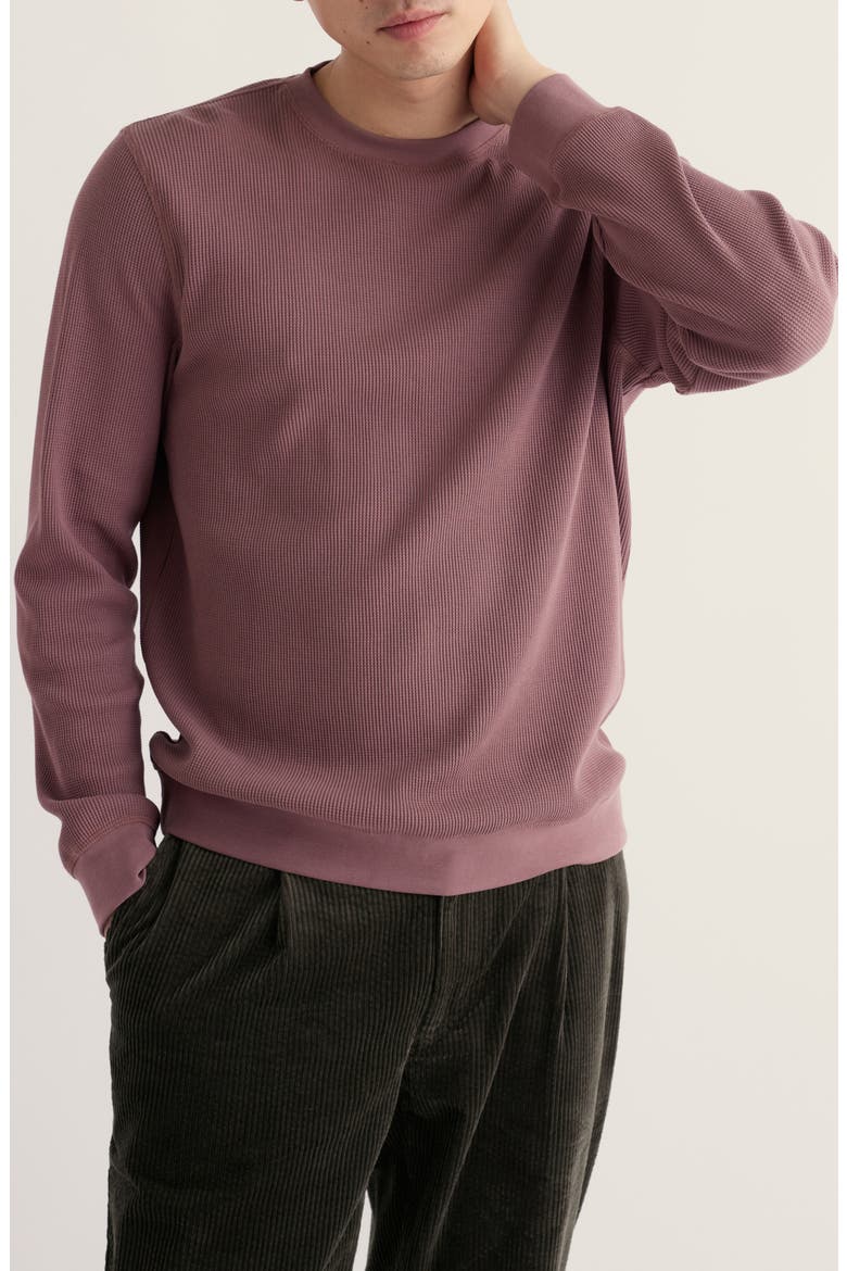 Jackline Organic Cotton Waffle Sweatshirt, Main, color, DUSTY PURPLE