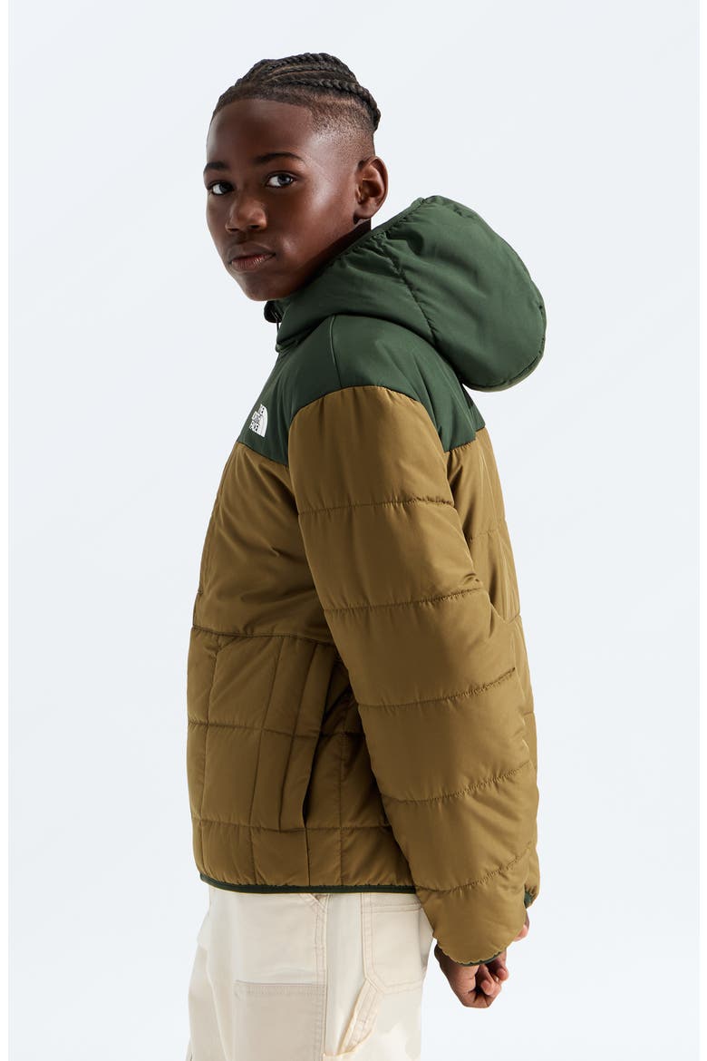 Kids' Shasta Water Repellent Reversible Hooded Jacket, Alternate, color, CARAWAY SEED/ BOTTLE GREEN