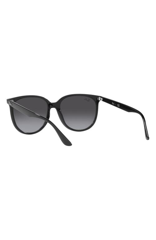 Ray Ban Ray-ban Erika 54mm Gradient Round Sunglasses In Black
