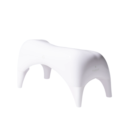 Ottoman Squatting Toilet Stool