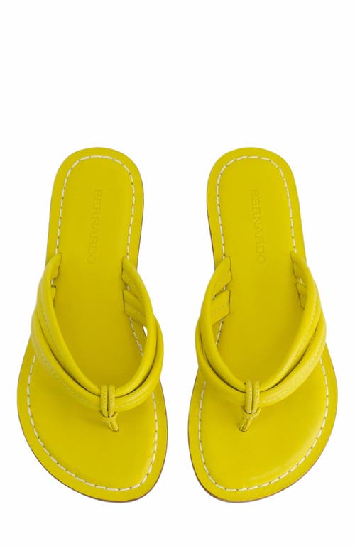 Bernardo Footwear Miami Thong Sandal In Daisy