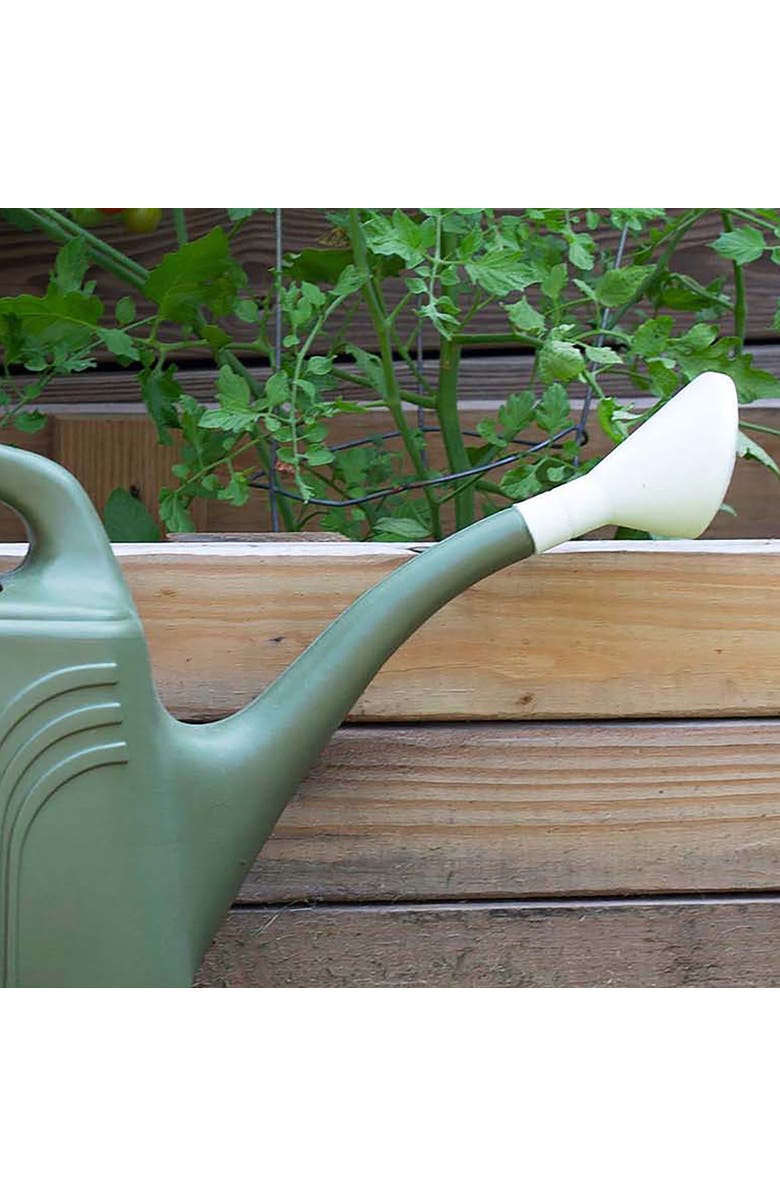 Bloem 2 Gallon Promo Watering Can, Alternate, color,
