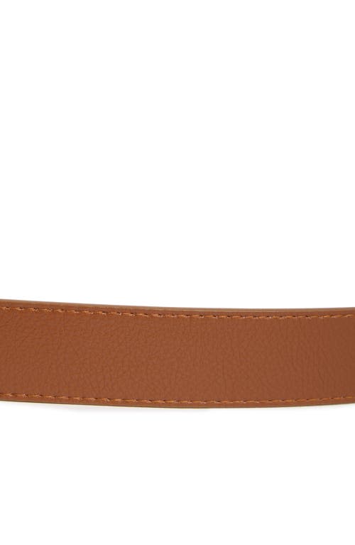 Steve Madden Two-tone Double Buckle Belt In Cognac