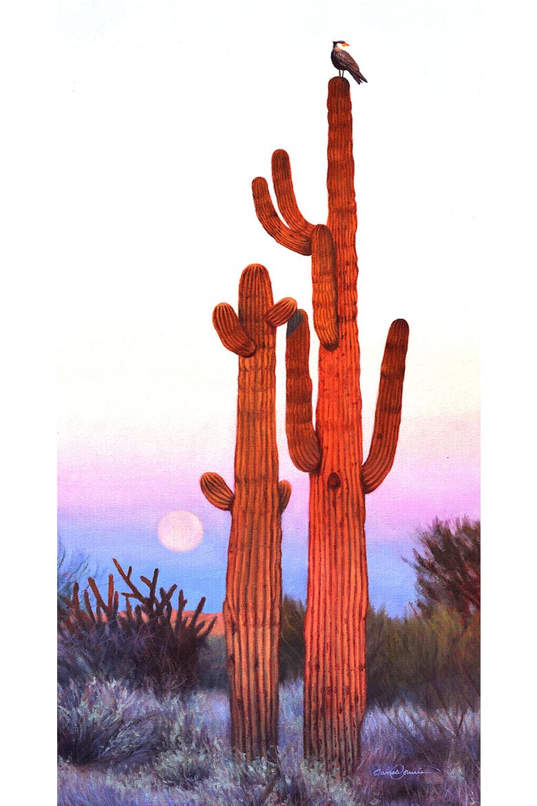 Desert Lookout 500 piece Jigsaw Puzzle for Adults, Alternate, color, Multicolor