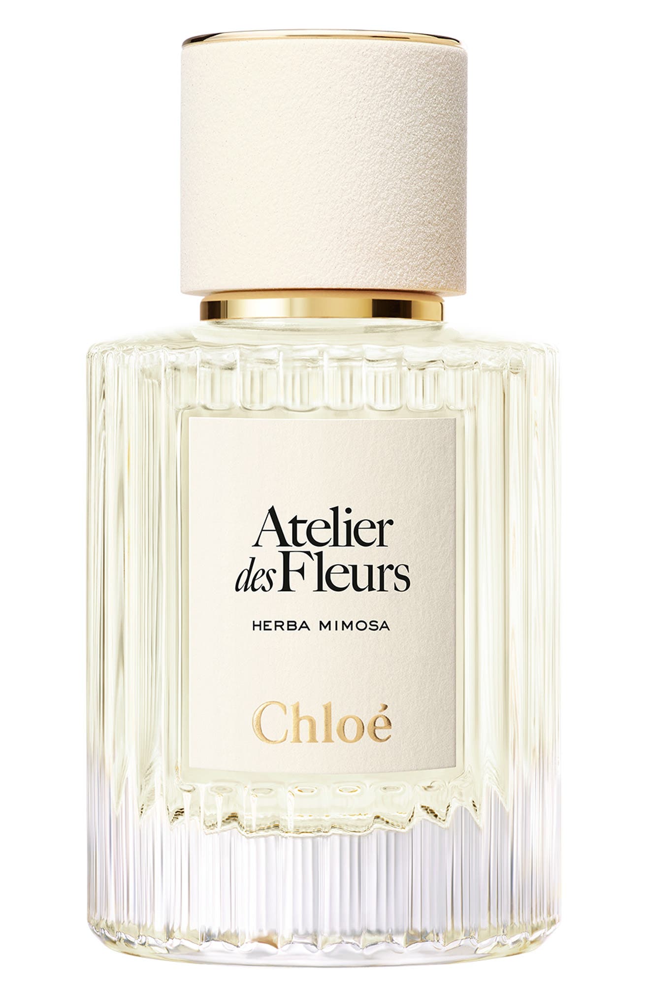 Chloé Atelier des Fleurs HERBA MIMOSA 14ff099d-efdc-4e03-8c82-