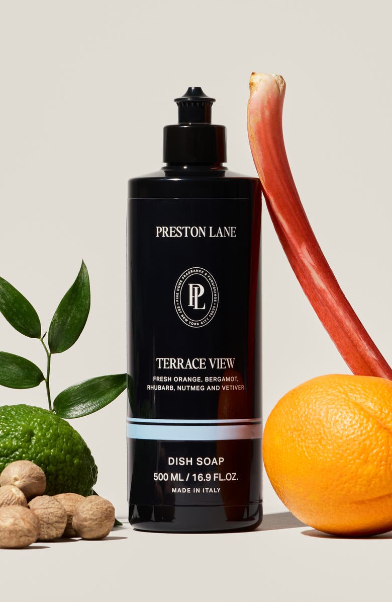 Preston Lane Terrace View Dish Soap, Alternate, color, Terrace View