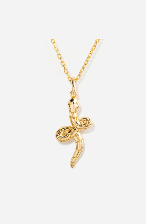 Snake Charm Necklace