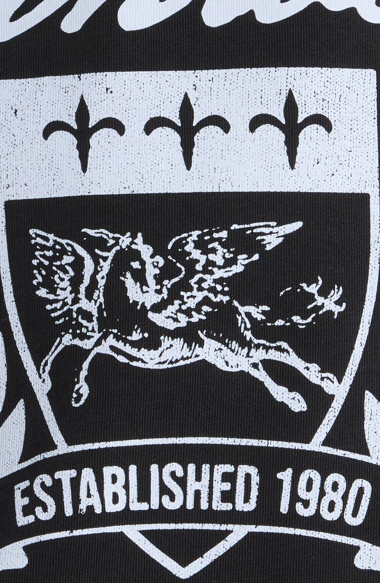 PacSun Crest Cotton Graphic T-Shirt, Alternate, color, Black