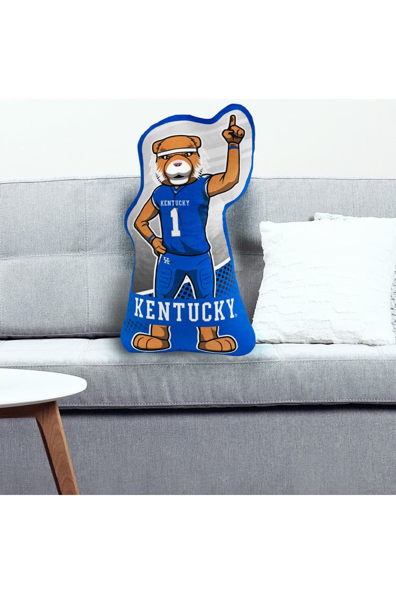 University of Kentucky 24" Sideline Pal, Alternate, color, None