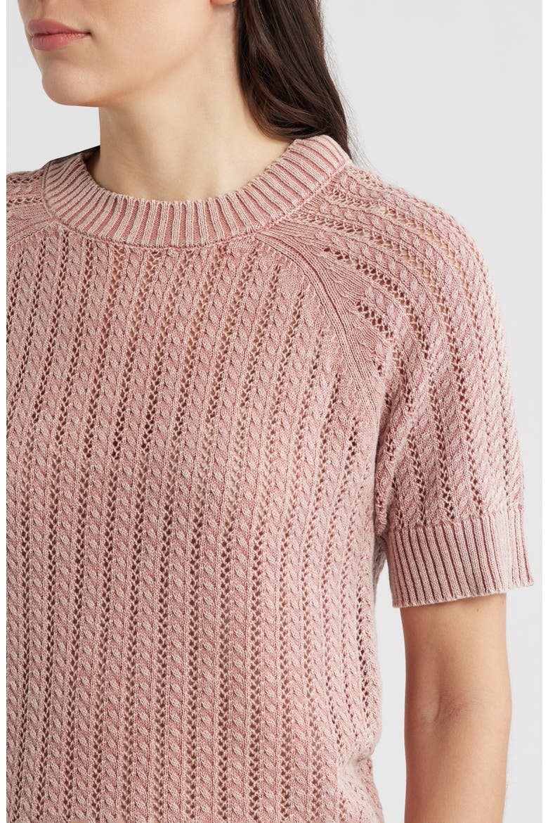 Washed Openwork Knit Rib Short Sleeve Sweater, Alternate, color, CONCH