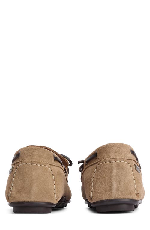 Barbour Courage Driving Shoe In Taupe Suede