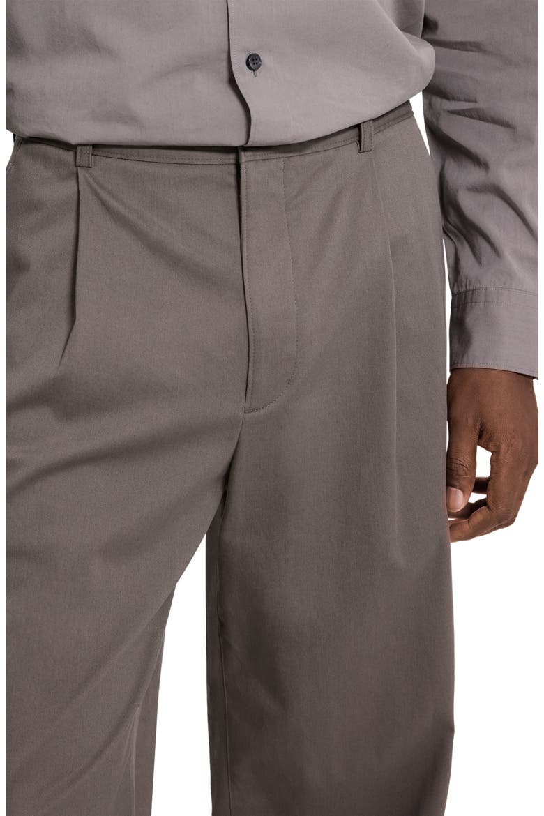 Relaxed Pleat in Moonsoft Cotton Blend Pants, Alternate, color, MOREL