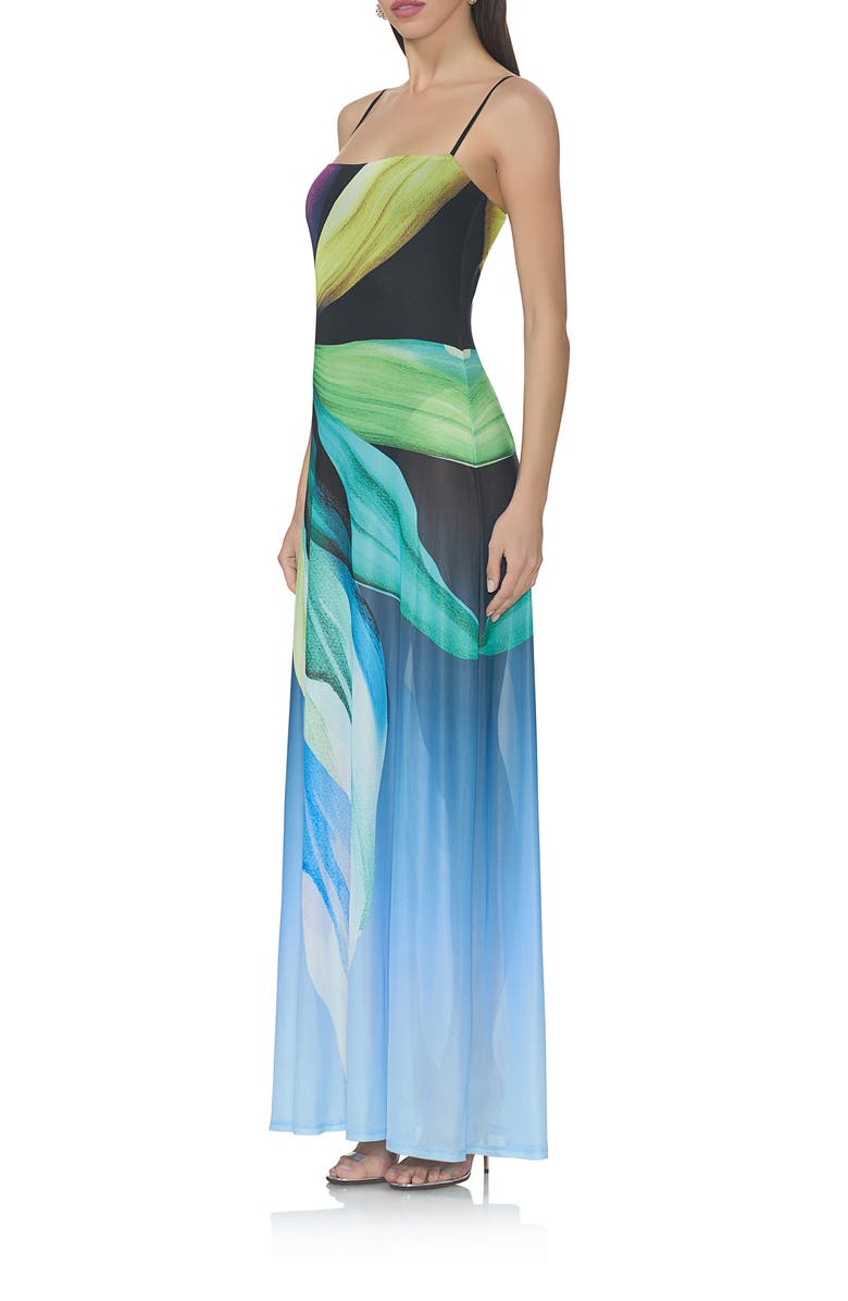 AFRM Shea Print A-Line Mesh Maxi Dress, Alternate, color,