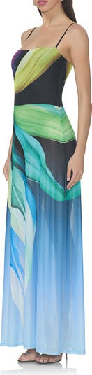 Shea Print A-Line Mesh Maxi Dress