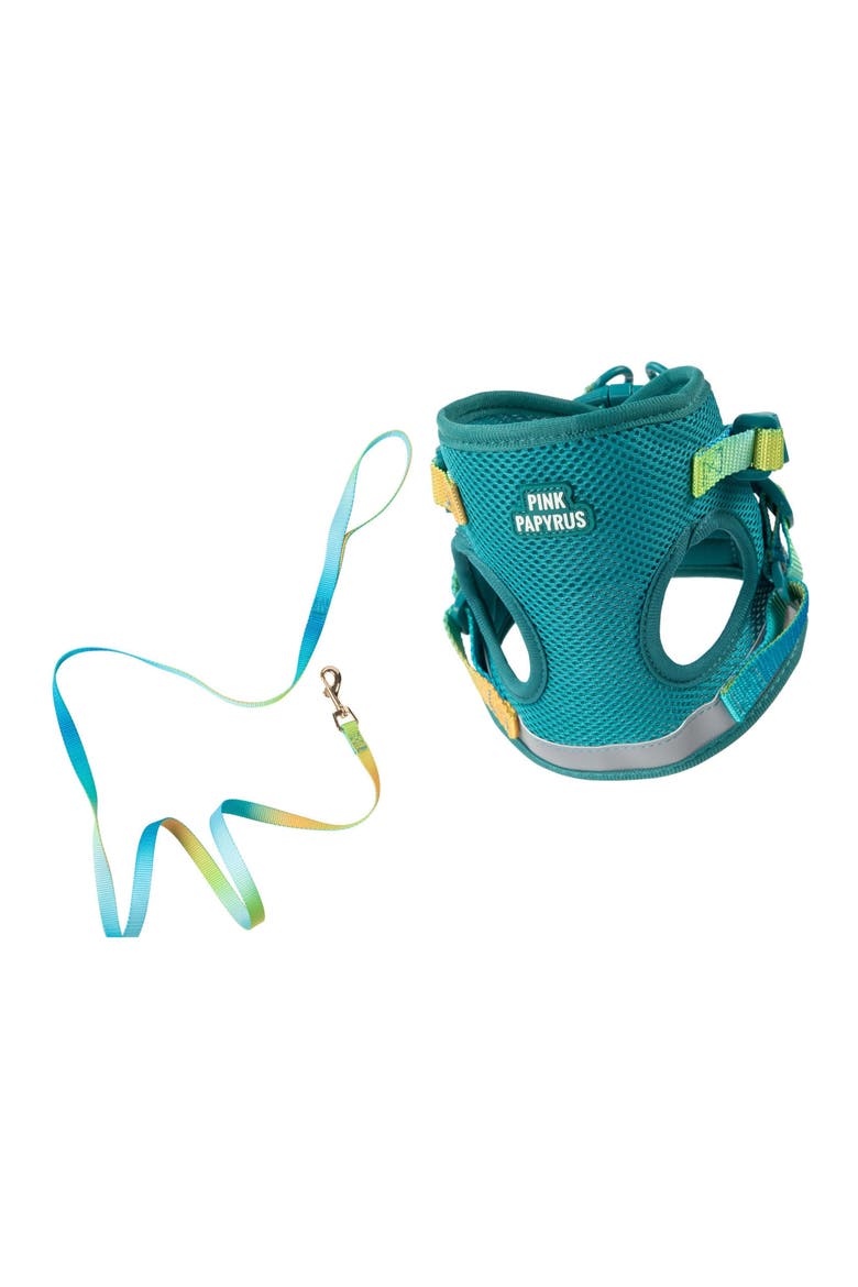 Joey Cat Harness and Leash Set, Main, color, Joey