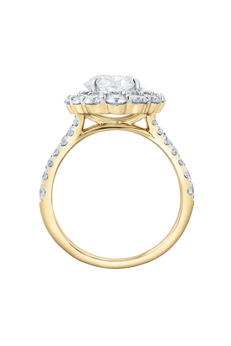 Sabina 14K Yellow Gold Oval Lab Grown Diamond Halo Engagement Ring - 4.7 Ct, Alternate, color, 14K Yellow Gold