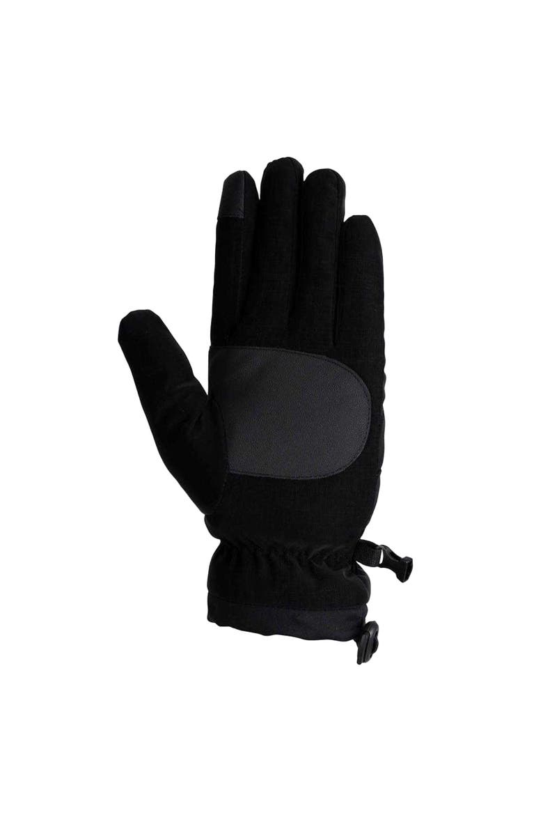 Gender Inclusive Tista Ski Gloves, Main, color, Black