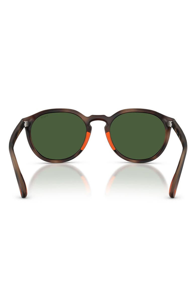 Polo Ralph Lauren 53mm Round Sunglasses, Alternate, color, Matte Dark Havana / Green
