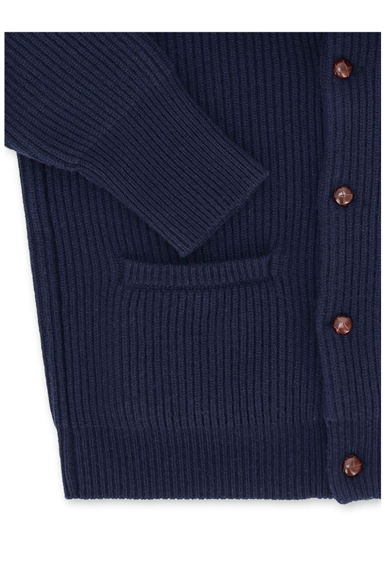 Stoke Cashmere Cardigan, Alternate, color, Dark Blue