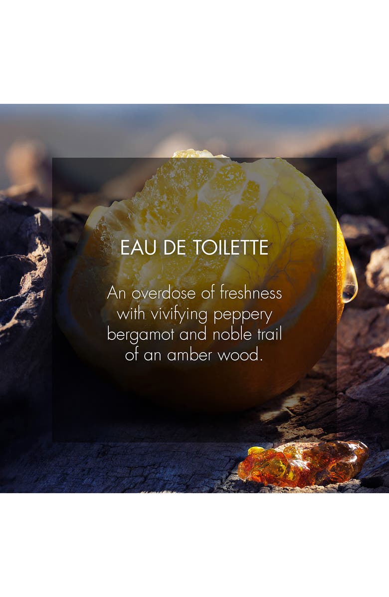 DIOR Sauvage Eau de Toilette, Alternate, color, Eco Refill