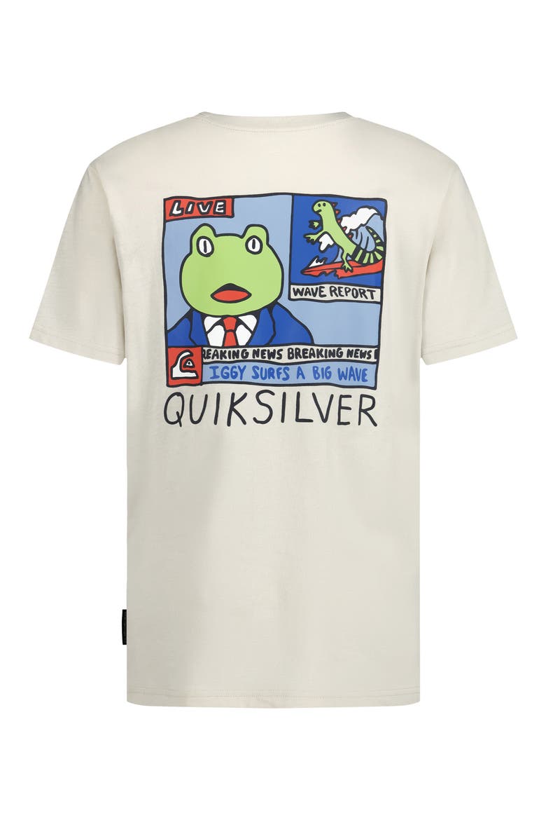 Kids' News Broadcast Graphic T-Shirt, Alternate, color, SILVER BIRCH