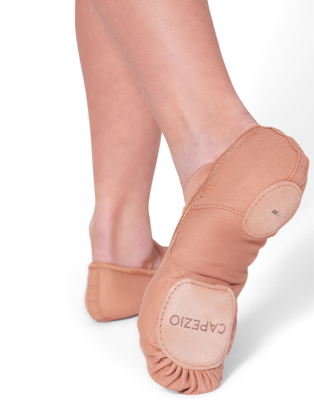 Hanami® Canvas Ballet Shoe | Light Suntan, Alternate, color, brown