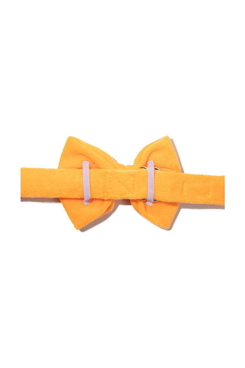 Ezra Bow Tie, Alternate, color, Ezra