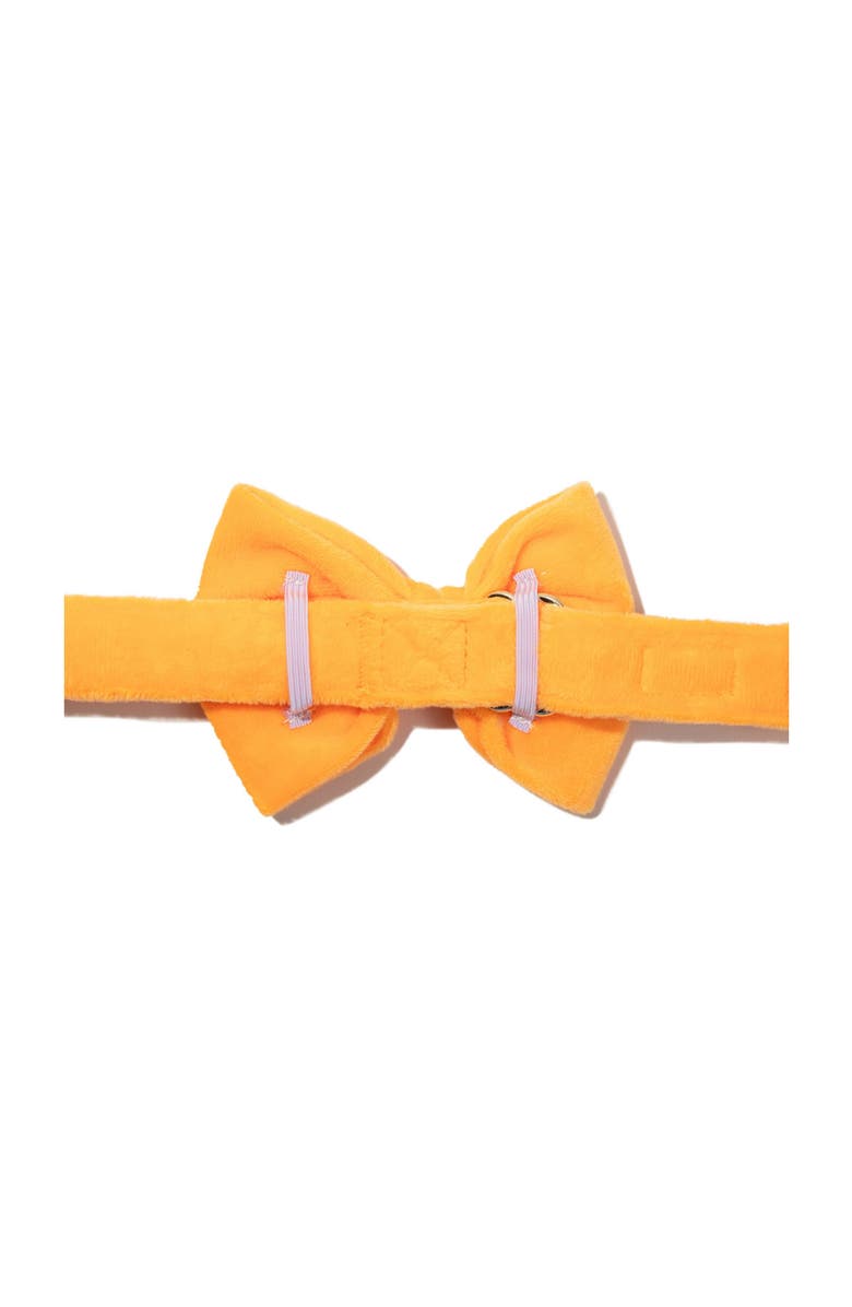 Pink Papyrus Ezra Bow Tie, Alternate, color, Ezra