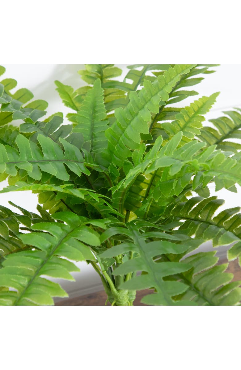 NEARLY NATURAL 19-in UV Resistant Artificial Boston Fern (Indoor/Outdoor) - Set of 2, Alternate, color, Green