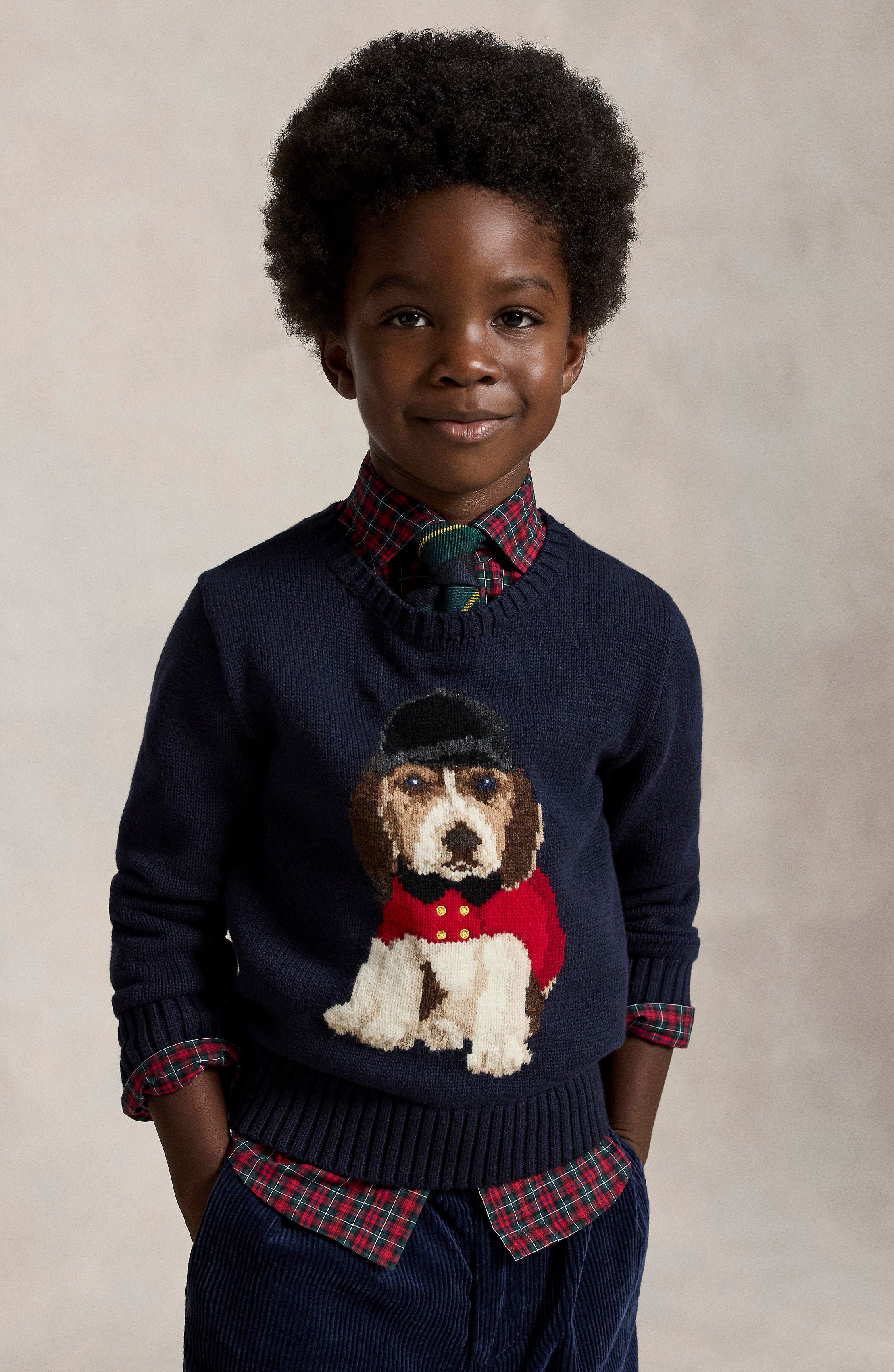 Polo Ralph Lauren Kids' Beagle Intarsia Cotton Sweater | Nordstrom