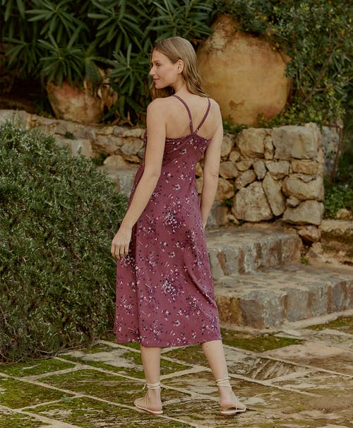 Pact Organic Cotton Fit & Flare Midi Dress In Dotted Sprays Mauve