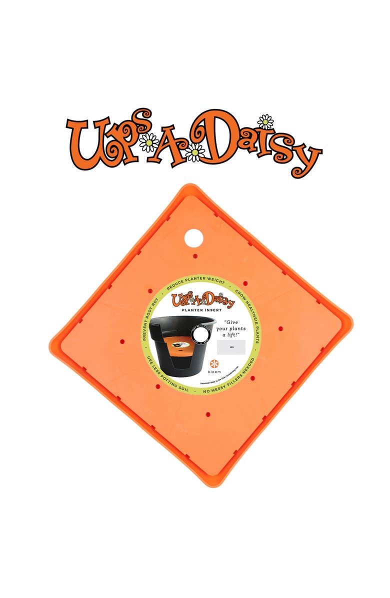 Bloem Ups A Daisy Square Planter Insert 10.75 Inch x 0.75 Inch, Alternate, color, Orange