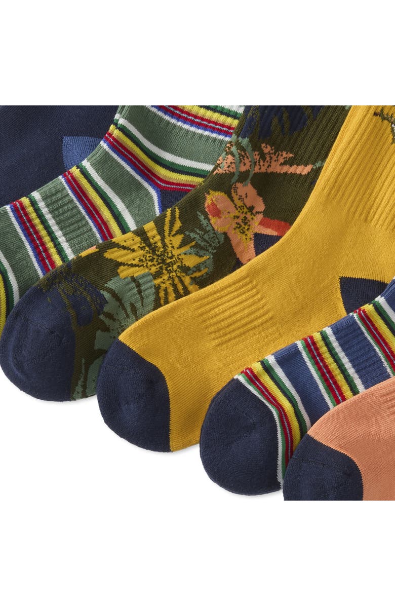 Polo Ralph Lauren Assorted 6-Pack Surf Club Bear Crew Socks, Alternate, color, 