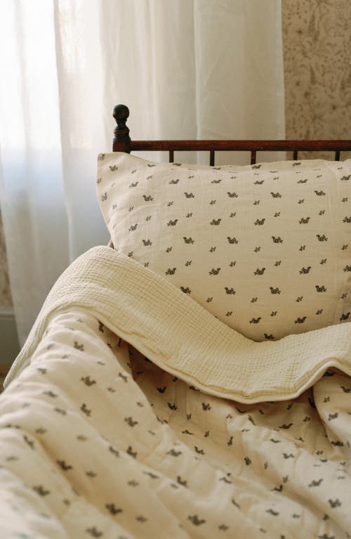 Oilo Organic Cotton Muslin Quilt & Sham Set In Squirrels