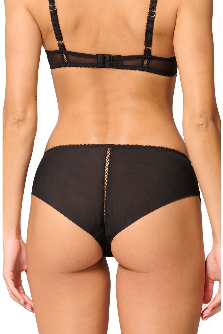 Lace Trim Tulle Briefs, Alternate, color, BLACK