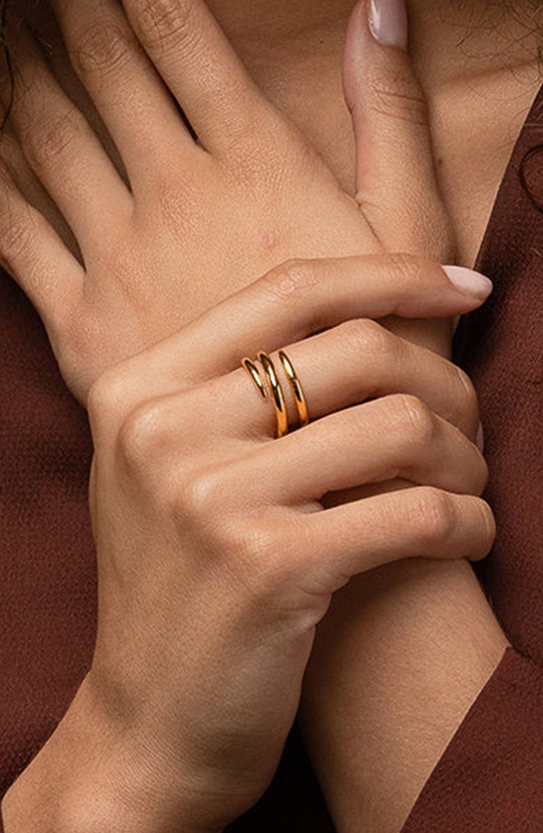 Bearfruit Jewelry 14k Gold Plated Dana Ring Dainty Modern Minimalist Jewelry, Alternate, color, Gold