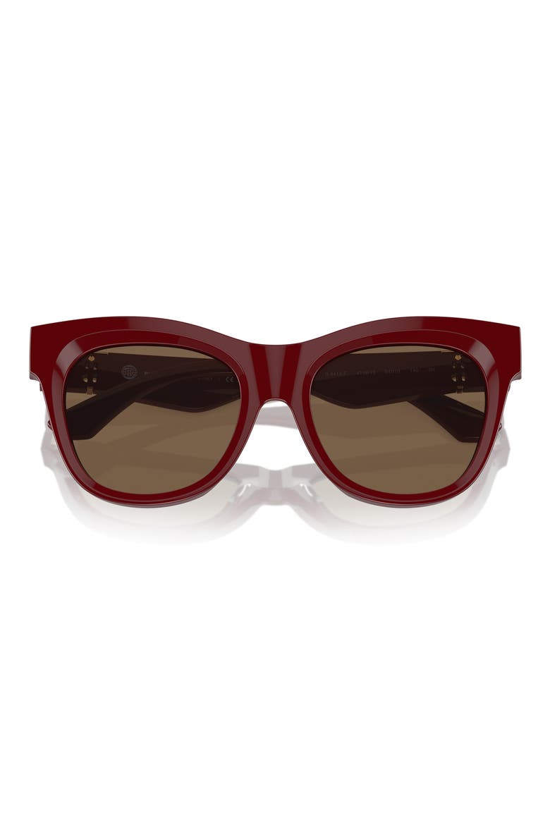 Evolution 54mm Cat Eye Sunglasses, Alternate, color, BORDEAUX